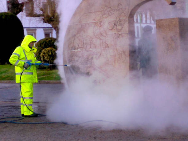 Best Roof Pressure Washing  in Chicago, IL